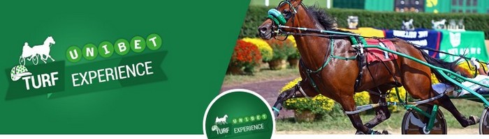 Devenez propriétaire d'un cheval de course avec l'Unibet Turf Expérience